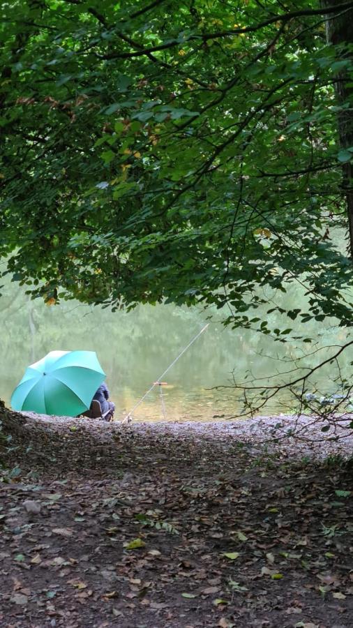 Wye Rapids House Bed and Breakfast Symonds Yat Εξωτερικό φωτογραφία