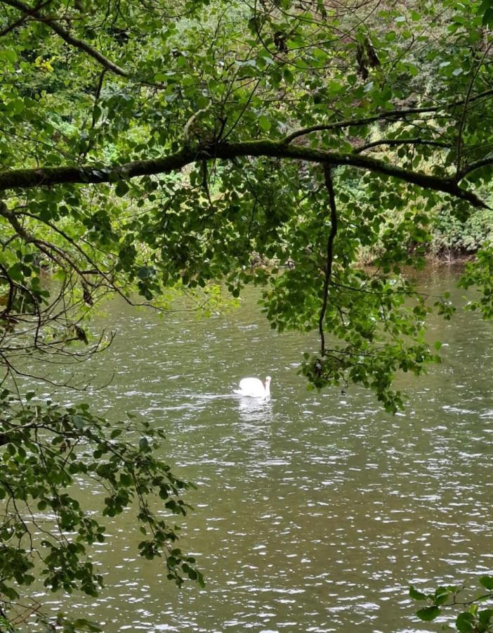 Wye Rapids House Bed and Breakfast Symonds Yat Εξωτερικό φωτογραφία