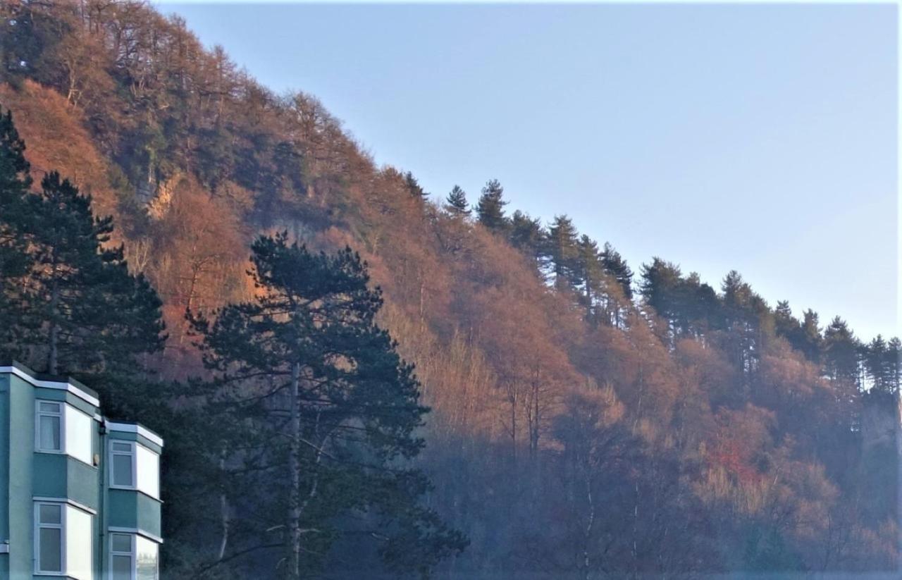 Wye Rapids House Bed and Breakfast Symonds Yat Εξωτερικό φωτογραφία